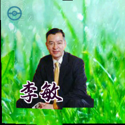 李敏